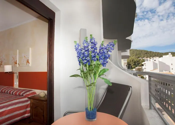 Parot Quality * Santa Eulària des Riu