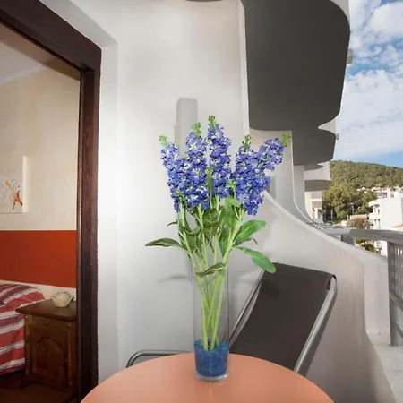 Parot Quality * Santa Eularia des Riu