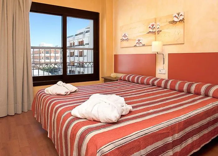 Parot Quality Santa Eulària des Riu